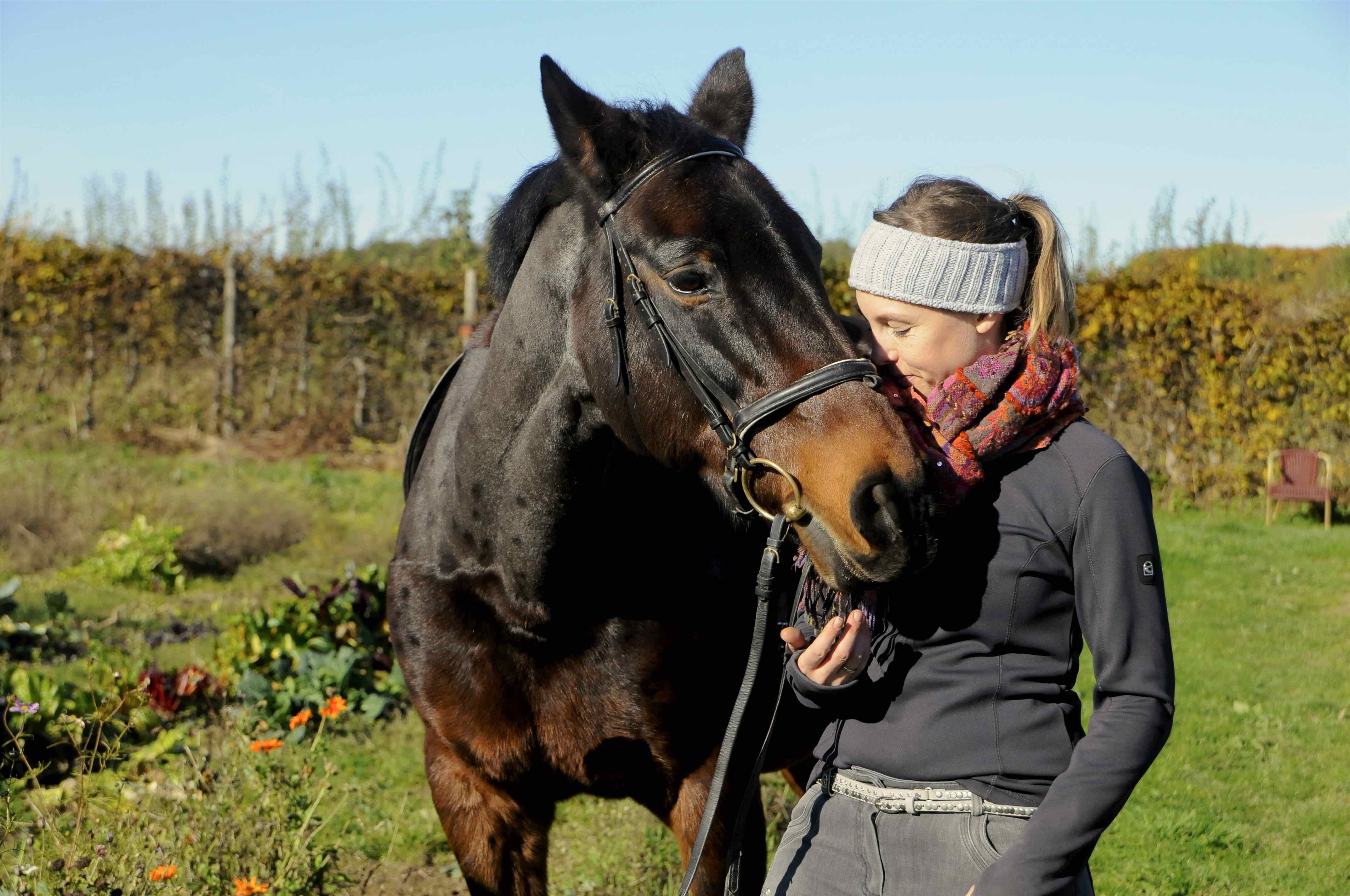 _dsc4585_cavallo_alifewithhorses