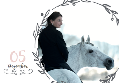 Adventskalender für Pferdefreunde von A life with horses